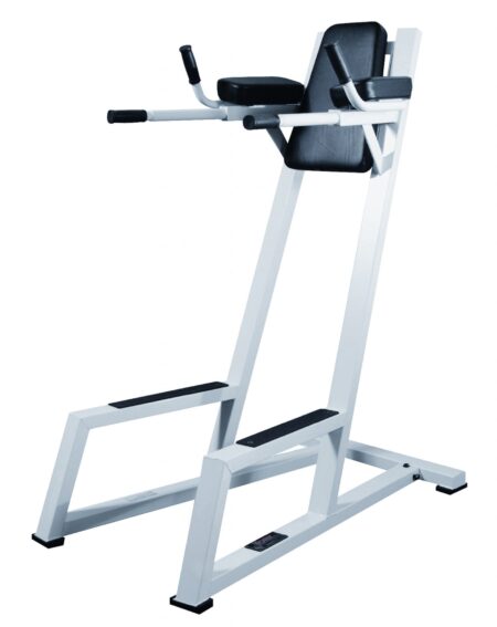 ST Vertical Knee Raise w/ Dip - Silver