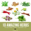 10 Amazing Herbs to Help Melt Away Visceral Fat