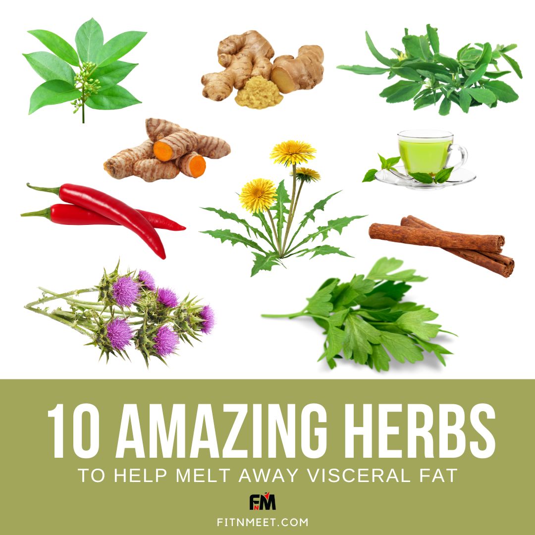 10 Amazing Herbs to Help Melt Away Visceral Fat