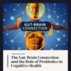 The Gut-Brain Connection and the Role of Probiotics in Cognitive Health