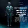 Cytokines Uncovered as the Key Players in Your Immune System