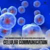 The Hidden Power of Adhesion Molecules in Cellular Communication