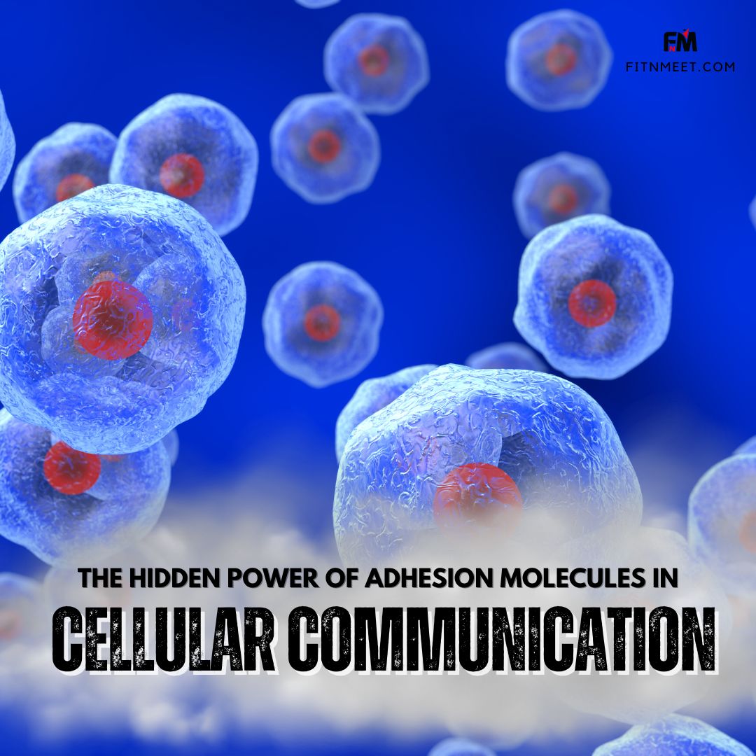 The Hidden Power of Adhesion Molecules in Cellular Communication