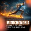 How to Increase Mitochondria Naturally for More Energy and Better Health