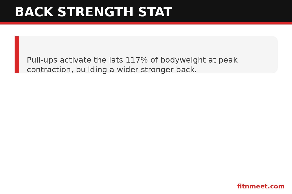 Wall mounted pull up bar strength stat on lat activation