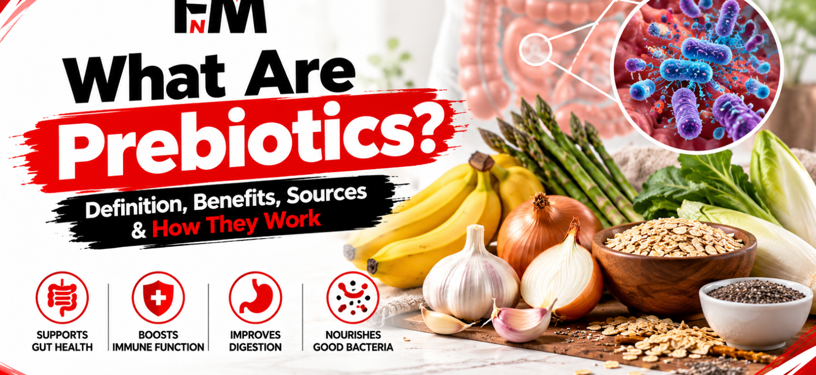 what are prebiotics